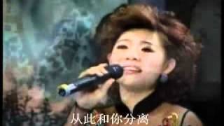 小鄧麗君 王靜 Wang Jing 再见我的爱人
