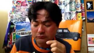 モスバーガー！菜摘テリヤキチキン！