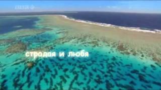 С Днем Рождения