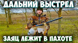 Охота на зайца. Опять подранок! Охота на зайца 2020.