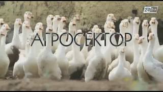 Агросектор. Производство гусиного и утиного мяса