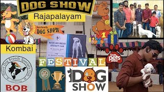 Tamil Nadu Native Dog breed show @ Rajapalayam || Kanni || Chippiparai || Kombai || Rajapalayam ||