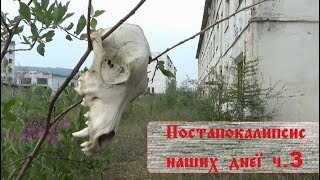 Кадыкчан. Двое в мёртвом городе