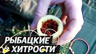 Хранение Мотыля. "Рыбацкие Хитрости".