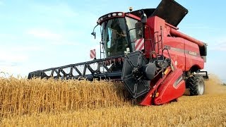 Żniwa 2013 - Case Axial-Flow 5130