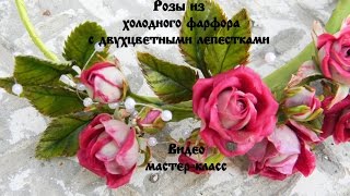 Розы из холодного фарфора с двухцветными лепестками