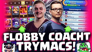 FLOBBY COACHT TRYMACS!?Vorbereitung für das globale Turnier auf dem F2P Account! | Clash Royale Ger