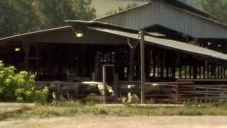 Meet the dairy farm families of North Carolina