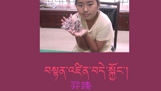 藏人小朋友學藏文--雷神巧克力