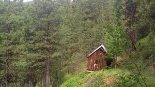 Bigfoot Haunts Old Cabin In The Woods Outside Cascade, Idaho