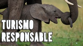 Turismo Responsable con Animales