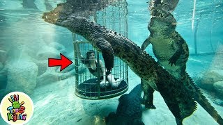 Những Trò Chơi Mạo Hiểm Nhất Trên Thế GIới - Mà Bạn Không Nên Thử