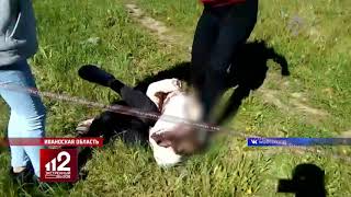 Школьницу избивают толпой, чтобы она уступила своего парня другой. Видео!