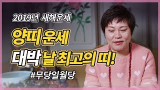 [인천점집][용한무당] 2019년 양띠운세 (67년생) 새해운세 | 신점으로 자세하게 풀어주는 양띠 신년운세