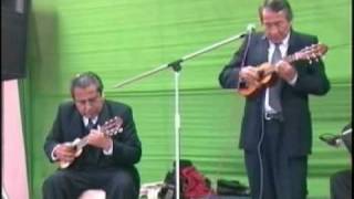 Hermanos Alvarado - Marinera Arequipeña: Traidora