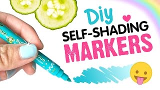 $10 Markers vs $100 Markers!!! DIY Chameleon Pens!!