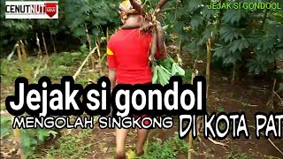 Jejak si " GONDOL " ( PARODI by cenut nut )