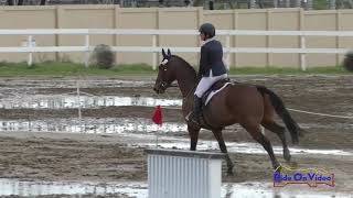 015S Erin Kellerhouse on Woodford Reserve CCI3*S Show Jumping FCHP February 2019