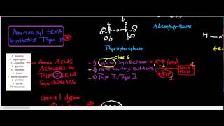Aminoacyl tRNA Synthetase Class II: Physiology, Biochemistry, and Mechanism