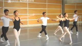 INBA (Instituto Nacional de Bellas Artes)