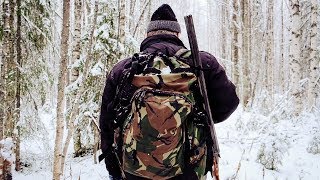 Сказочная тайга. ? Поход в лес. ❄ Лесная жизнь. ? Пролог | The forest hut. Camping in the woods