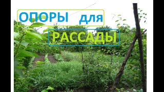 Установил опоры и подвязал помидоры и огурцы