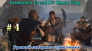 Assassin’s Creed IV ||Black Flag||: Урожай сахарного тростника # 4 серия.
