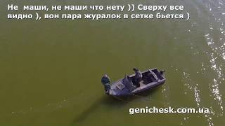 Сиваш. Жизнь на Арабатской стрелке