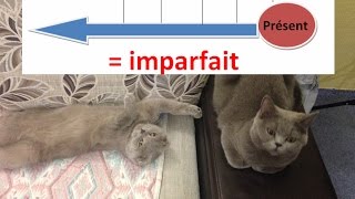 Все времена французского.№1 Présent et Imparfait