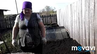 Грядки...почти лето...деревенский день...???
