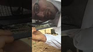 How we install a package of bees at Brink's!