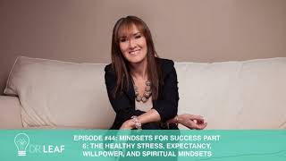 Podcast Episode #44: Mindsets for Success Part 6