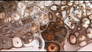 #63 TUTORIAL ACRILICOS FLUIDOS - "Diptico Natural"-En Español (Acrylic Pouring)