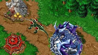 Раса Драконов в Warcraft 3