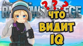 РАЗРУШИТЕЛИ МИФОВ - КАКИЕ УСТРОЙСТВА ВИДИТ IQ??? Rainbow Six Siege