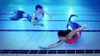 Swimming with Mermaids • SIREN Mermaid Tail