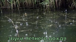 1 часовой шум летнего дождя для лучшго сна  для взрослых и детей. белый шум