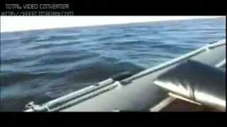WinBoat-390R + Tohatsu-30 испытания самоделки (в низком качестве)