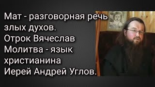Мат - разговорная речь злых духов. Отрок Вячеслав. Молитва - язык христианина Иерей Андрей Углов.