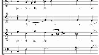 Vivaldi - Gloria - 7 - Domine Fili Unigenite