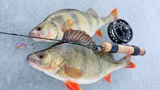 Обзор зимнего удилища Salmo Perch Soft Graphite.