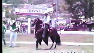Candidato II de las Guacas ( Silverio x Comparsita), trocha y galope - Rey de la sabana