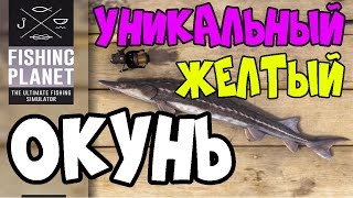 Fishing Planet Окунь | Уникальный Желтый Окунь | Мичиган, озеро Сент-Круа | Прохождение 2016