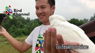 โรงเรียนฝึกนกบินอิสระแห่งแรก (ในประเทศไทย)