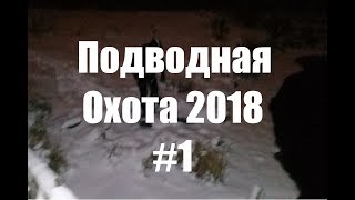 Подводная  охота в Лен.Обл. январь 2018