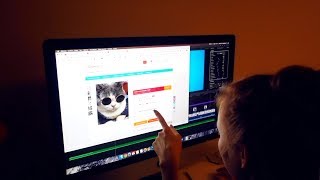 VLOG: СИЖУ НА ALIEXPRESS! ЗАКАЗ ДЛЯ КОШКИ! 08.11.18