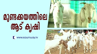 Goat farming at Mundakayam | Haritham Sundaram | Kaumudy TV