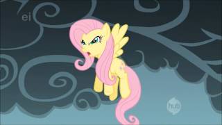 T I T A N I U M-PMV