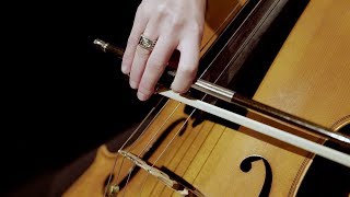 Bach Cello Suite No. 1 - Prelude - Performed by Janelle Sands