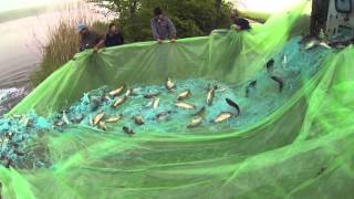 Populare Balta Camineasca 13.04.2016